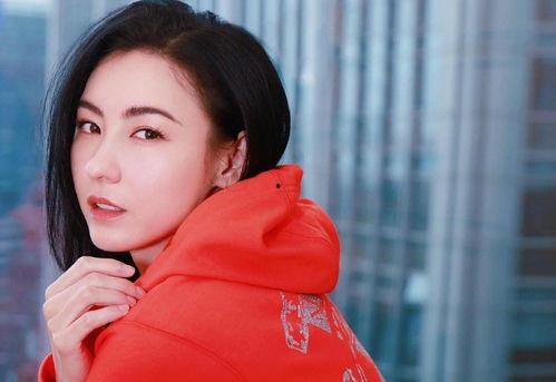 张柏芝明星网红,从明星到网红，跨界人生的多彩篇章