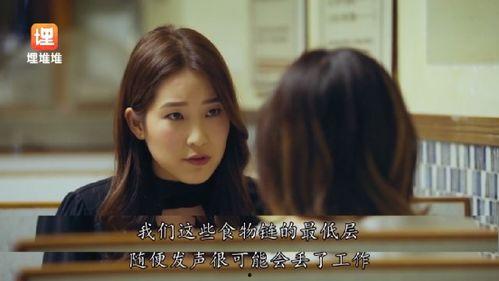 娱乐圈吃瓜大师小说,吃瓜大师的瓜田秘闻