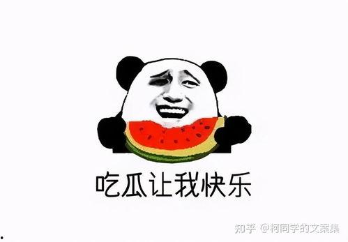 热门吃瓜文案短句,盘点那些让人捧腹的瞬间