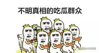 热门吃瓜话题推荐,真相与谣言的较量
