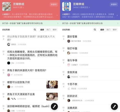 今日吃瓜网站 ccgg,揭秘娱乐圈最新八卦风云