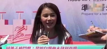 付明星网红,揭秘网络红人的崛起之路”