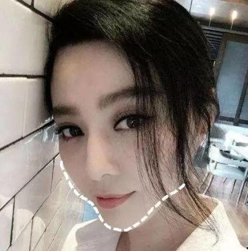 招明星网红,揭秘网红明星养成之路
