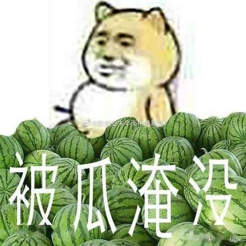 黑料吃黑瓜网不挂,揭秘不挂背后的真相与内幕