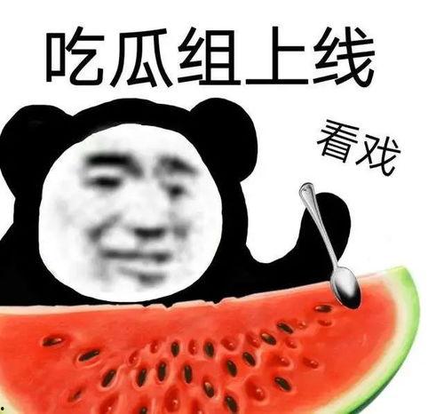 黑料吃黑瓜网不挂,揭秘不挂背后的真相与内幕