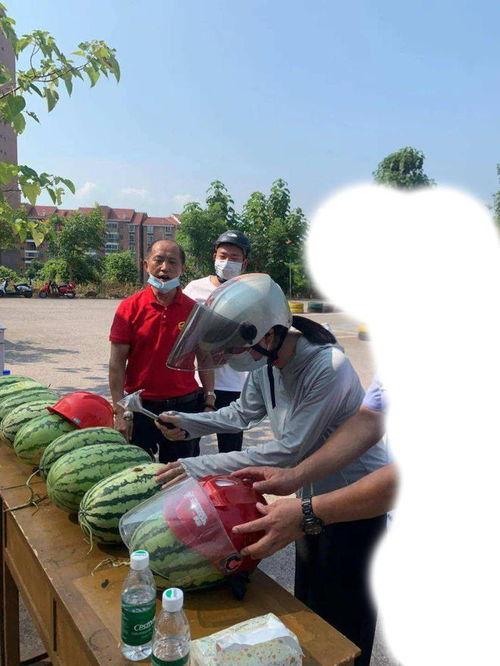 柳州今日吃瓜事件,一场网络狂欢背后的真相与反思
