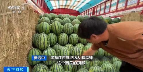 今日吃瓜行情怎样,揭秘娱乐圈最新热点事件