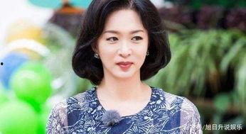 明星网红碗,明星效应下的美食潮流解析