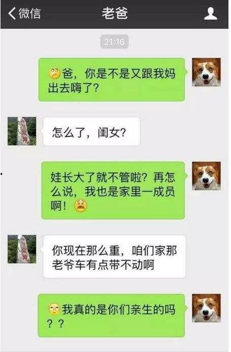 热门吃瓜搞笑段子,吃瓜群众欢乐多