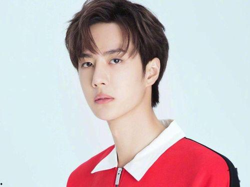 麻城明星网红,明星级影响力人物盘点