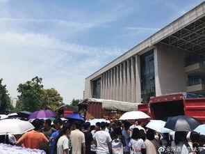 今日吃瓜安阳学院,揭秘校园热点事件背后的真相