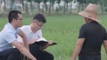 近期吃瓜热门新闻,揭秘近期网络热议事件背后的真相