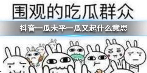 热门吃瓜抖音,揭秘娱乐圈幕后故事