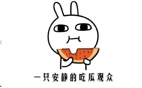 吃瓜网络热门事件,揭秘网络热门事件背后的真相与笑料