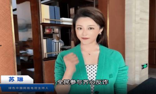 鹤岗明星网红,揭秘东北小城崛起的明星力量