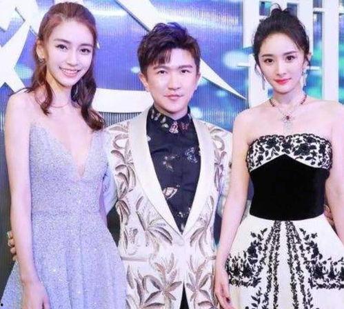 明星网红接待,揭秘星光熠熠的幕后故事
