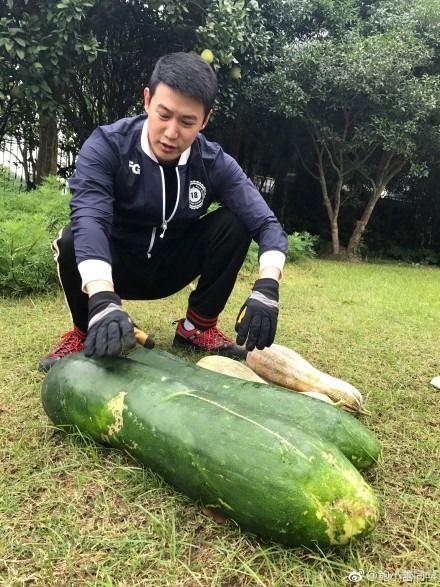 爆料吃瓜哪里看,吃瓜群众聚集地大揭秘！