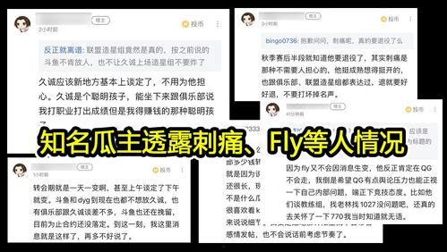 吃瓜大赛每日爆料,每日爆料，娱乐圈风云再起