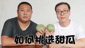黑哥吃瓜网,揭秘娱乐圈最新热点，带你领略幕后真相