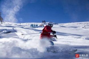 阿勒泰滑雪热门吃瓜,热门吃瓜，揭秘滑雪圈幕后故事