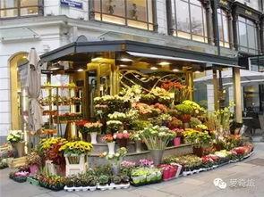最新吃瓜爆料花店,揭秘最新吃瓜爆料背后的花语秘密