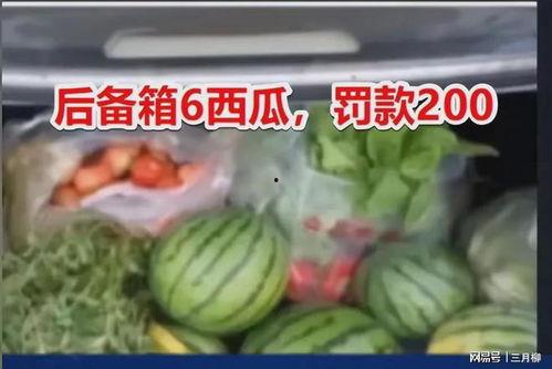 今日网友吃瓜现状,揭秘网络时代的“瓜田”盛况