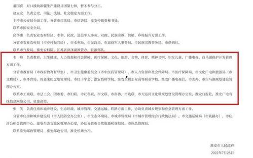 今日吃瓜戴局,揭秘戴局背后的故事