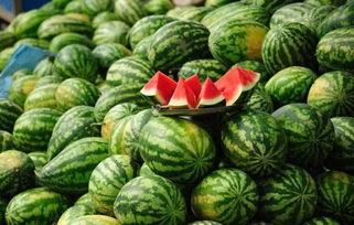 911瓜报吃瓜爆料,揭秘娱乐圈最新爆料，吃瓜群众狂欢时刻