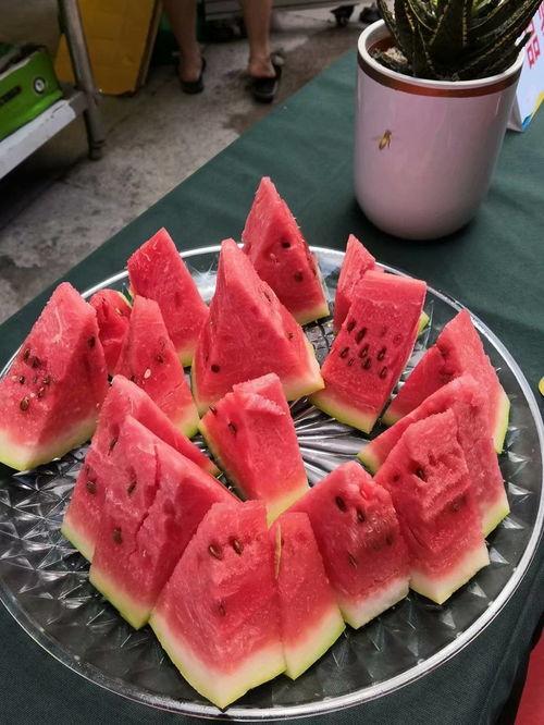 宁夏今日吃瓜爆料,揭秘今日热点事件背后的真相