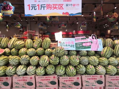 宁夏今日吃瓜爆料,揭秘今日热点事件背后的真相