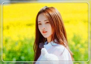 明星网红摄影,明星网红摄影艺术之旅