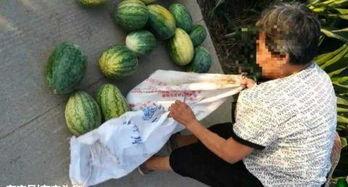 林州吃瓜最新爆料,揭秘最新爆料背后的真相