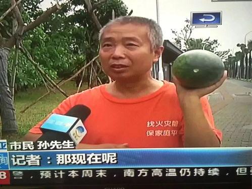 吃瓜群众热门问题,揭秘娱乐圈背后的真相