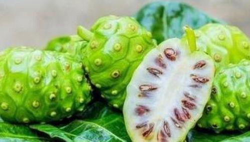 黑料吃黑瓜网莱芜,莱芜事件背后的真相与反思