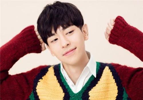 明星网红阳,网红明星的跨界传奇