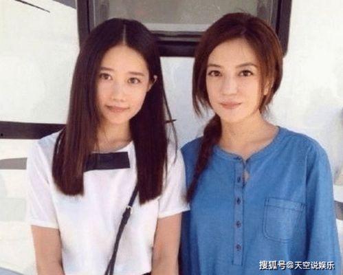 明星网红合照,明星网红同框瞬间，精彩瞬间尽收眼底