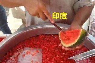 日本爆料韩国吃瓜,韩国娱乐圈惊人内幕，吃瓜群众纷纷热议