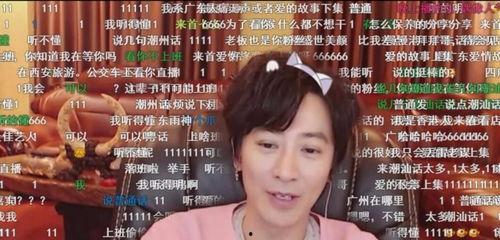 明星网红侵权,揭秘网络红人法律风险与责任承担