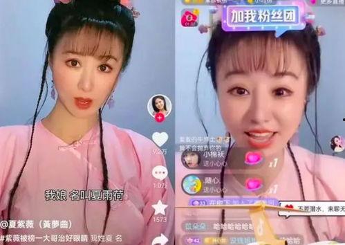 明星网红侵权,揭秘网络红人法律风险与责任承担