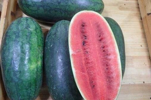 黑料吃瓜在线吃瓜朱馨宇,黑料吃瓜背后的网络风云