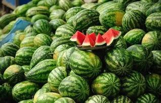 黑料吃瓜在线吃瓜朱馨宇,黑料吃瓜背后的网络风云