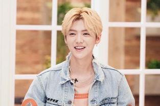 吃瓜爆料鹿晗,娱乐圈幕后真相大揭秘