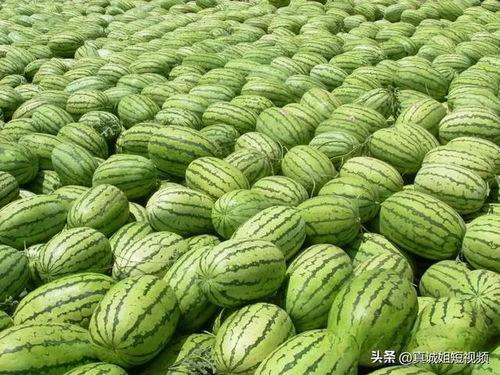 今日吃瓜热门大