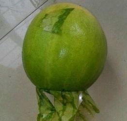 河北今日吃瓜事件,揭秘网络谣言背后的真相