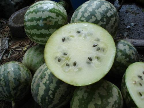 黑疙瘩瓜怎样吃,探索美味新境界