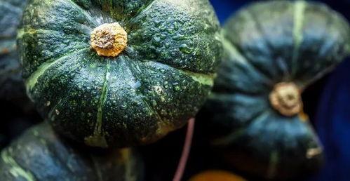 黑科技吃瓜资源,吃瓜界的革命性资源大揭秘