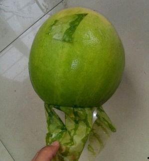 郑州今日吃瓜事件,一场网络热议背后的真相揭秘