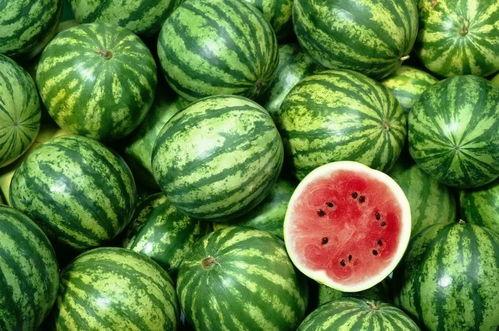 黑瓜吃料总部,揭秘美食原料供应链新篇章