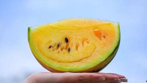 今日吃瓜小料,揭秘娱乐圈最新热点事件