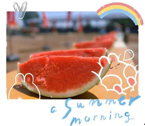 今日份吃瓜现场,娱乐圈最新爆料大揭秘